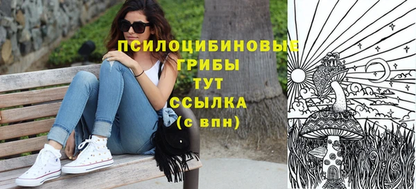 стаф Новосибирск