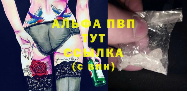 стаф Новосибирск