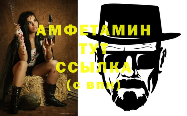 стаф Новосибирск