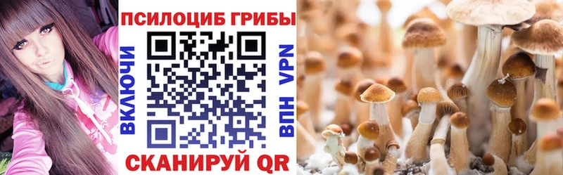 хочу   Заволжск  Псилоцибиновые грибы прущие грибы 